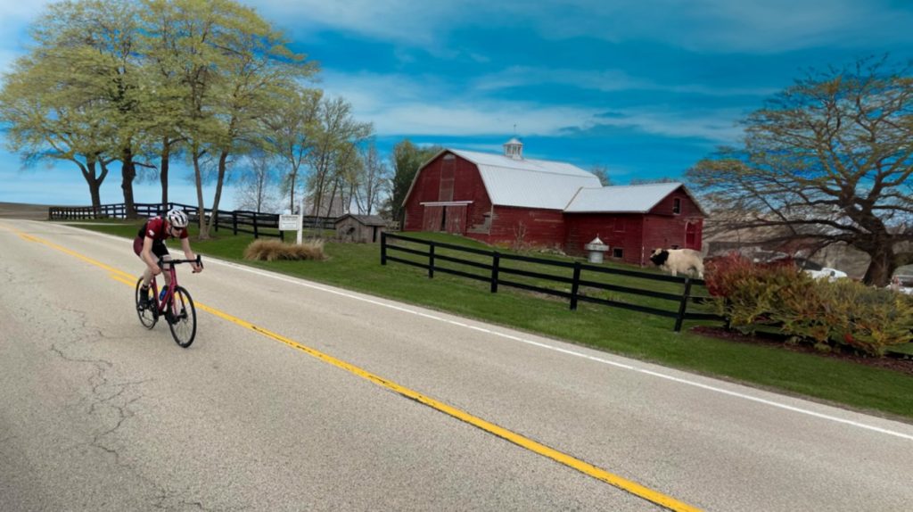 A rider at the Kane County 10 Mile Time Trial Race in Maple Park, IL races past a farm with a cow standing in the pasture